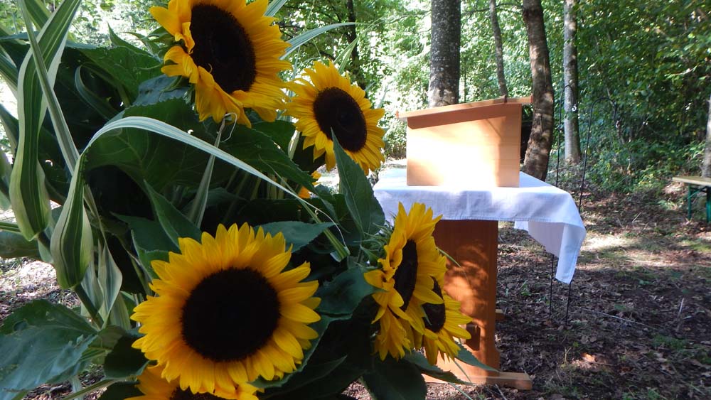 Sonnenblumen vor dem Tisch mit Pult des Pfarrers.