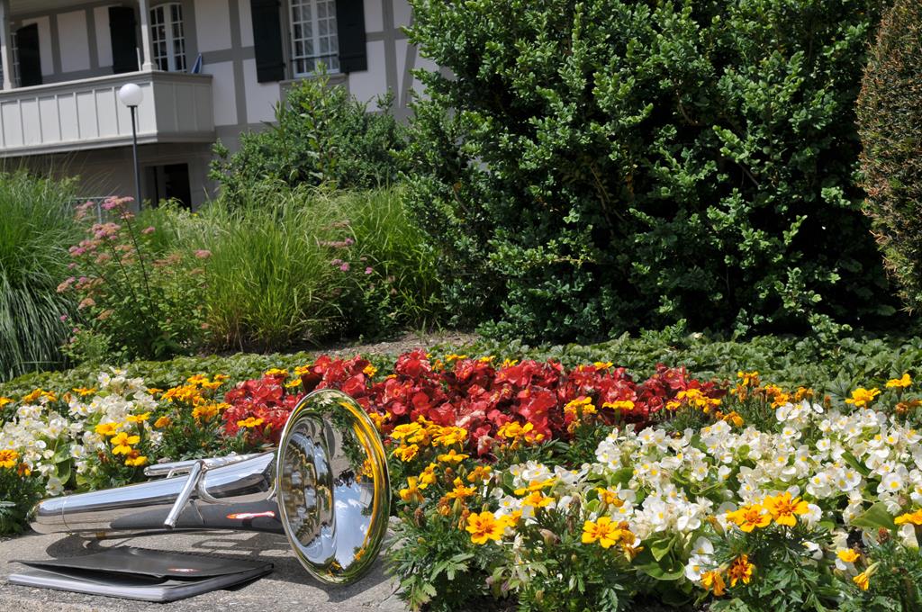 Instrument liegt vor Blumenbeet.